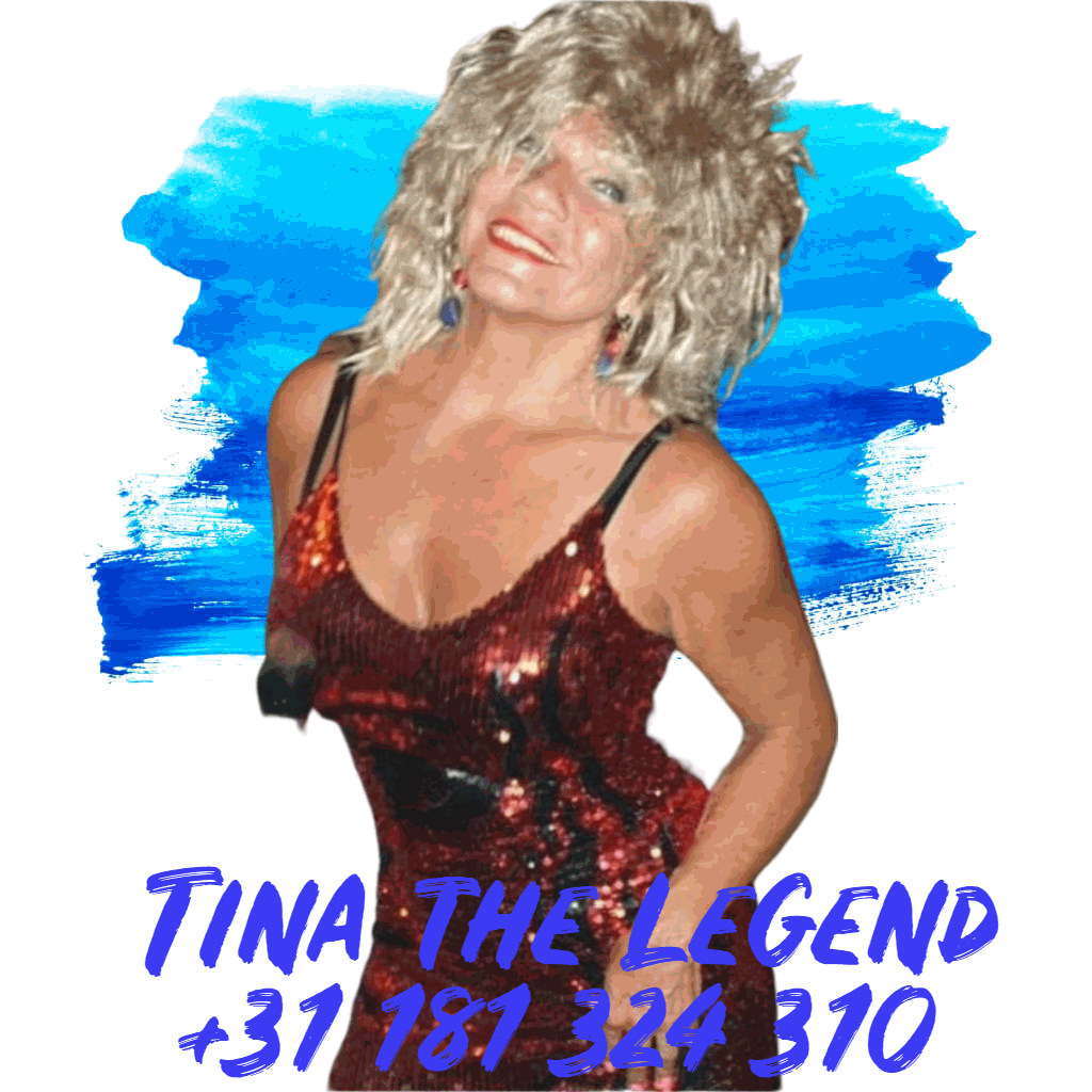 Tina Turner tribute boekt u bij www.kwekel-evenementen.nl